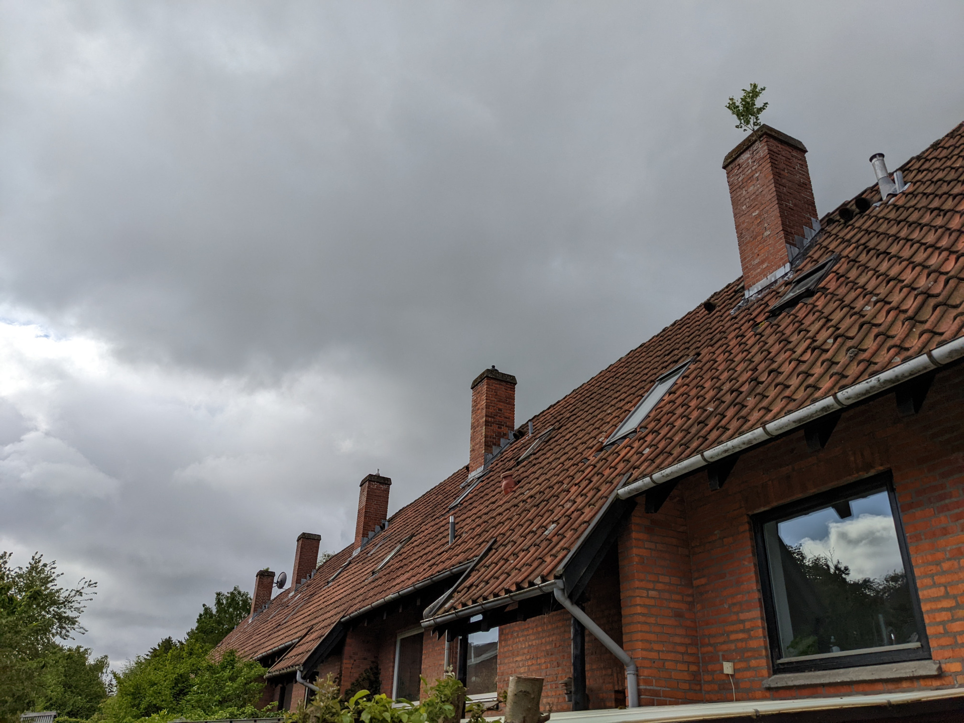 Grundejerforeningen Lindevej 6-10 (efterår)